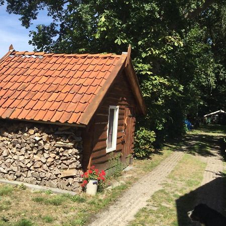 Landelijk Gelegen Huisje Op Erf Veeningen 外观 照片