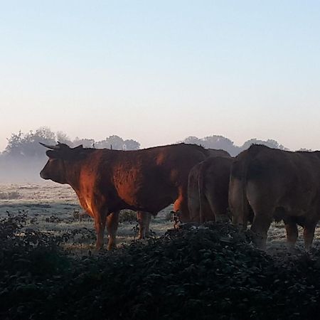 Landelijk Gelegen Huisje Op Erf Veeningen 外观 照片