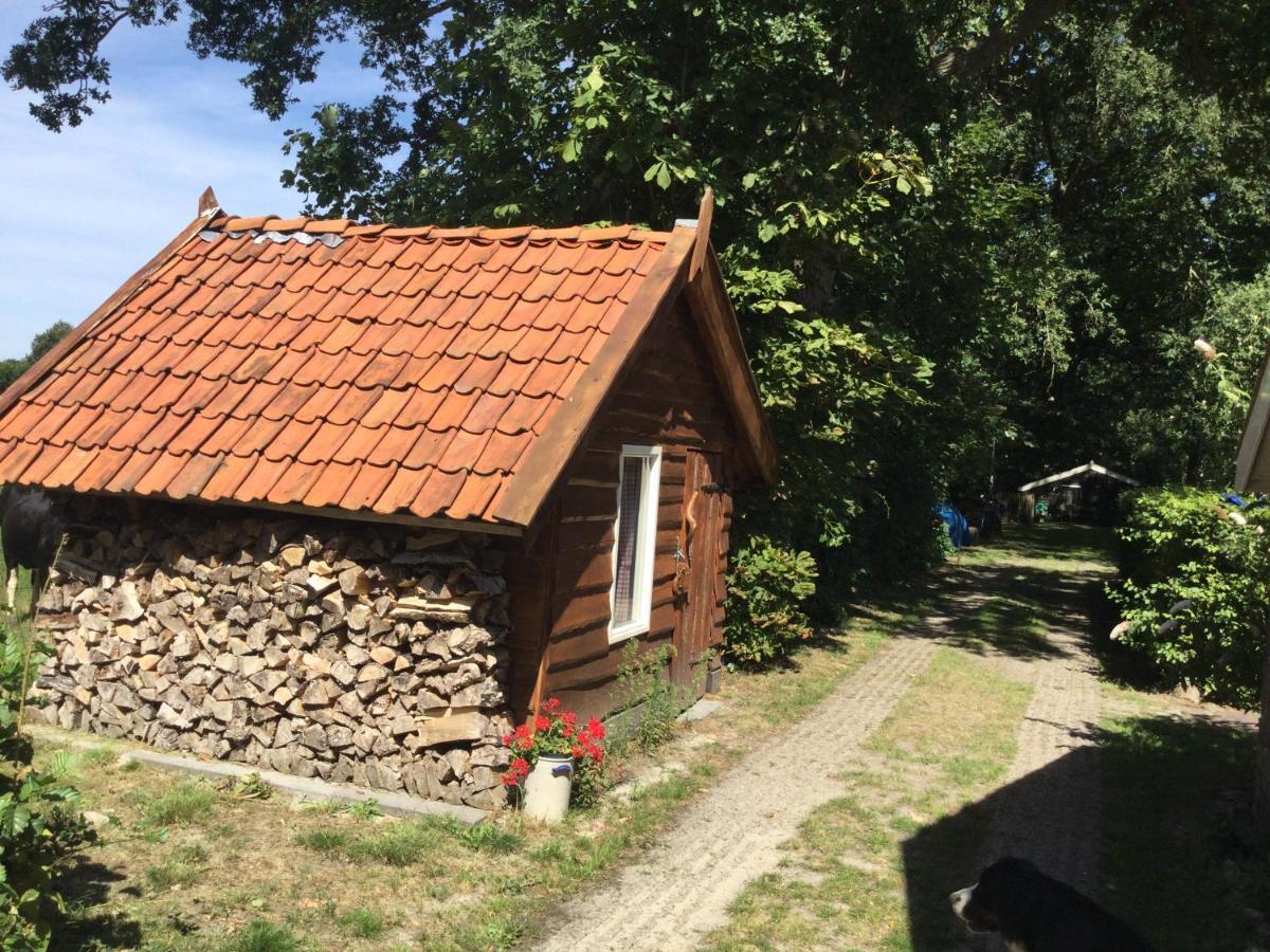 Landelijk Gelegen Huisje Op Erf Veeningen 外观 照片