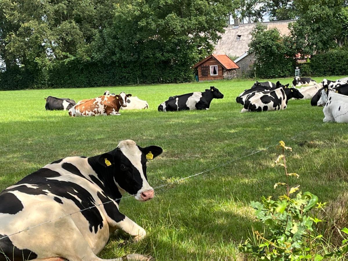 Landelijk Gelegen Huisje Op Erf Veeningen 外观 照片
