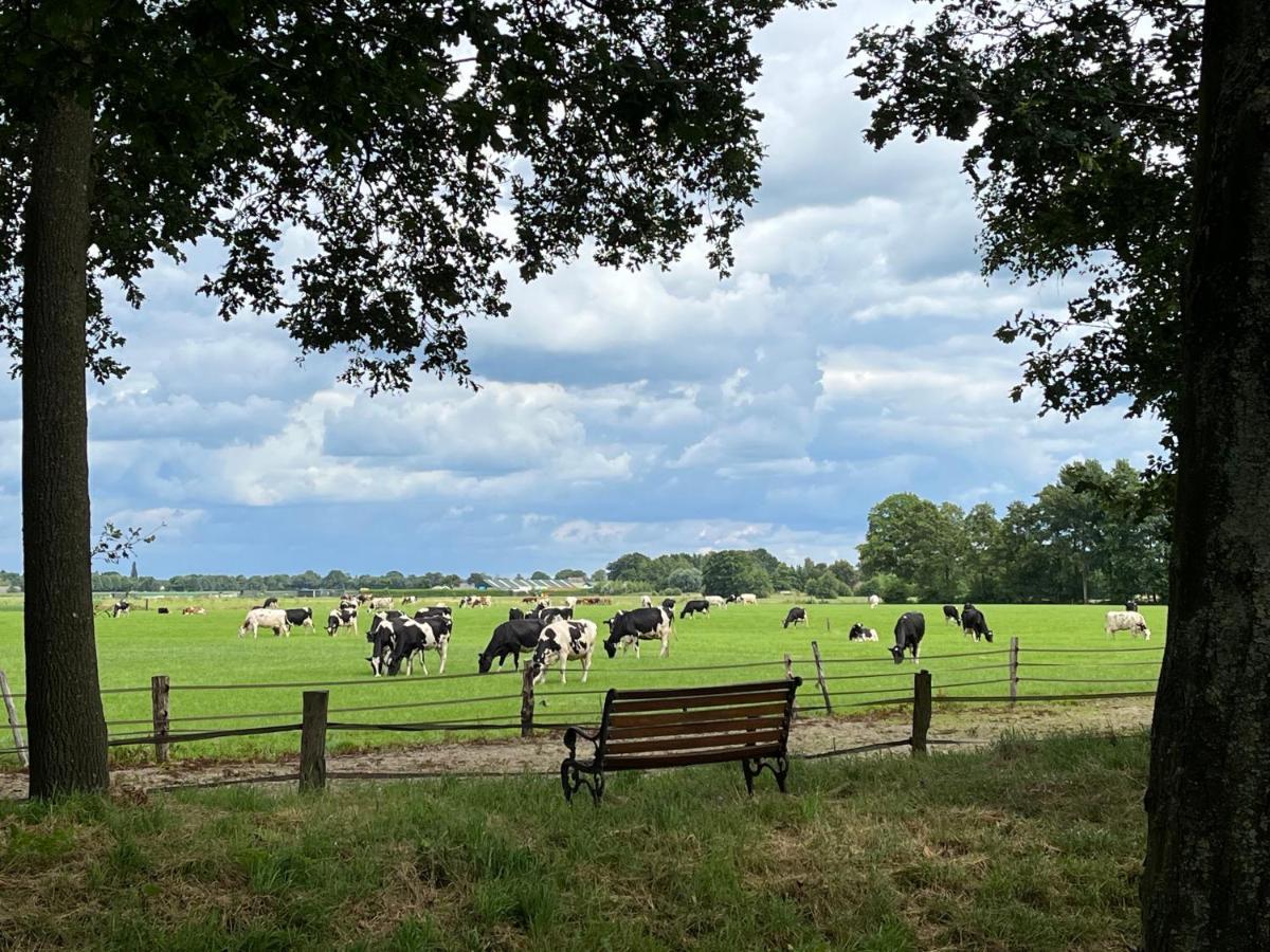 Landelijk Gelegen Huisje Op Erf Veeningen 外观 照片